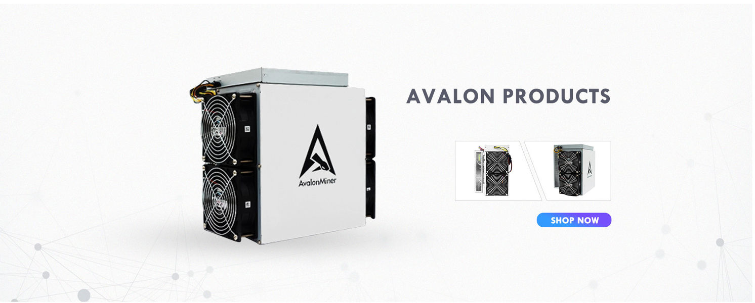 China best Avalon Bitcoin Miner on sales